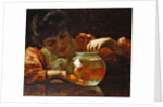 The Goldfish Bowl by Thomas Benjamin Kennington