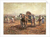 The Potato Pickers by Harry Fidler