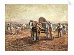 The Potato Pickers by Harry Fidler