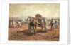 The Potato Pickers by Harry Fidler