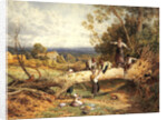 Playtime by Myles Birket Foster