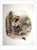 Morning News by Myles Birket Foster