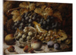 Still Life of Fruit by Oliver Clare