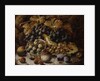 Still Life of Fruit by Oliver Clare