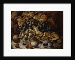 Still Life of Fruit by Oliver Clare
