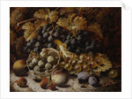 Still Life of Fruit by Oliver Clare