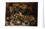 Still Life of Fruit by Oliver Clare