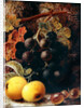 Grapes, Apples and Gooseberries by Vincent Clare