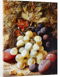 Grapes and Plums by Vincent Clare