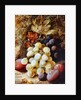 Grapes and Plums by Vincent Clare