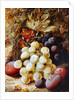 Grapes and Plums by Vincent Clare