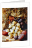 Grapes and Plums by Vincent Clare