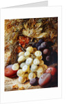 Grapes and Plums by Vincent Clare
