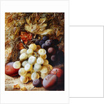 Grapes and Plums by Vincent Clare