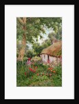 A Cottage Garden by Tom Clough