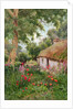 A Cottage Garden by Tom Clough