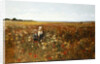 The Poppyfield, 1897 by Kate Colls