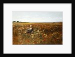 The Poppyfield, 1897 by Kate Colls