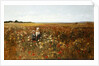 The Poppyfield, 1897 by Kate Colls
