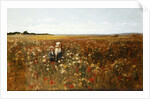 The Poppyfield, 1897 by Kate Colls