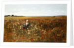 The Poppyfield, 1897 by Kate Colls