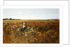 The Poppyfield, 1897 by Kate Colls