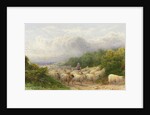 Sheep on the Downs by William W. Gosling