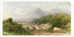 Sheep on the Downs by William W. Gosling