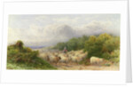 Sheep on the Downs by William W. Gosling
