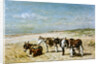 Donkeys on the Beach by Johannes Hubertus Leonardus de Haas