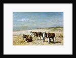 Donkeys on the Beach by Johannes Hubertus Leonardus de Haas