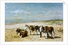 Donkeys on the Beach by Johannes Hubertus Leonardus de Haas