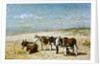 Donkeys on the Beach by Johannes Hubertus Leonardus de Haas