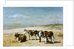 Donkeys on the Beach by Johannes Hubertus Leonardus de Haas
