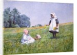 Buttercups and Daisies by Minnie Jane Hardman