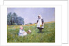 Buttercups and Daisies by Minnie Jane Hardman