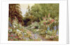 Herbaceous Border by Evelyn L. Engleheart