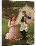 The Kite by John Morgan