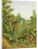 Honeysuckle and Ferns by Albert Durer Lucas