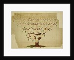 Bach Family Tree, c.1750-1770 by German School