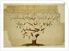 Bach Family Tree, c.1750-1770 by German School