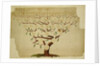 Bach Family Tree, c.1750-1770 by German School