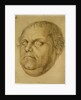 Posthumous Portrait, Martin Luther, 1546 by Lucas Fortenagl