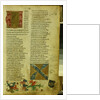 Martin Luther's enrolment sheet at the University of Erfurt, April 1501 by German School