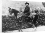 Prince Bismarck in Friedrichsruh, 1890 by School German