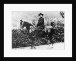 Prince Bismarck in Friedrichsruh, 1890 by School German