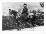 Prince Bismarck in Friedrichsruh, 1890 by School German