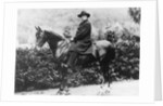 Prince Bismarck in Friedrichsruh, 1890 by School German