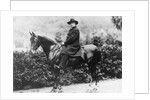 Prince Bismarck in Friedrichsruh, 1890 by School German