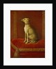 One of Frederick II's Italian Greyhounds by German School